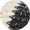 CATIA BONE BLACK WOVEN