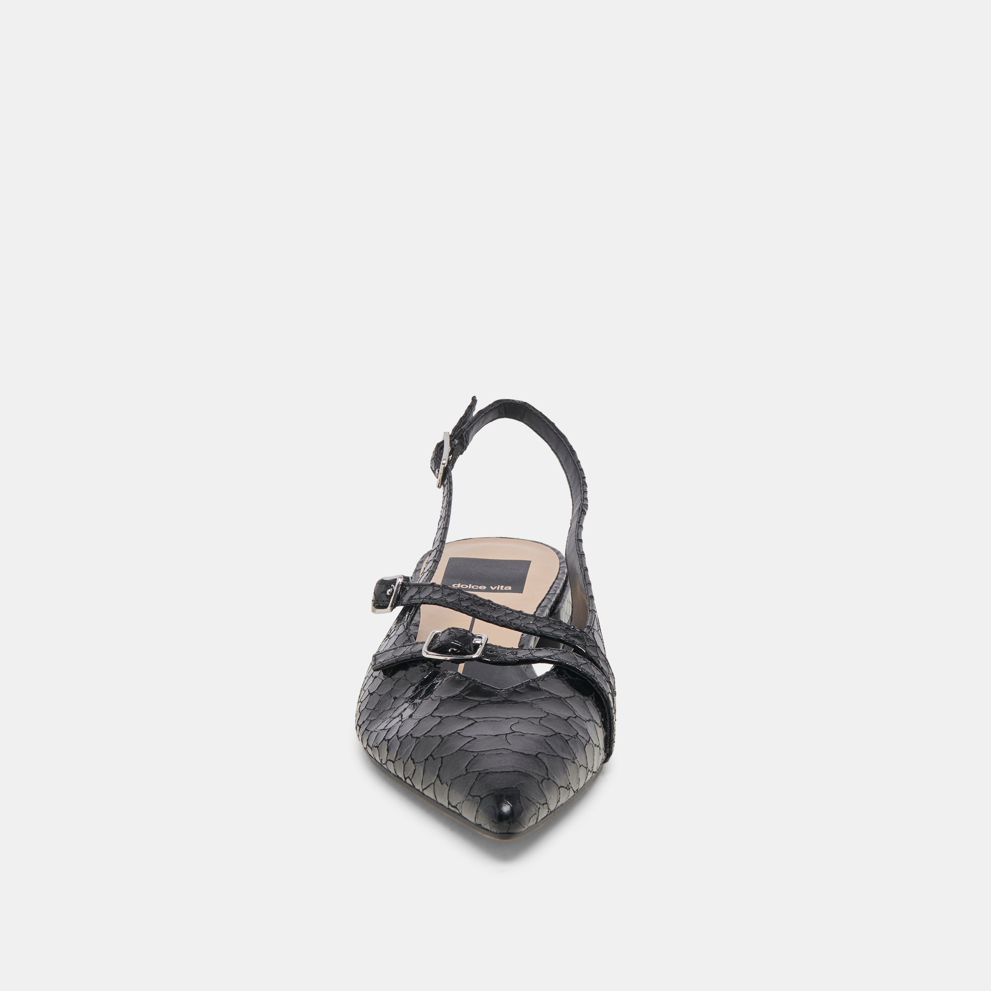 PAMLA MIDNIGHT SNAKE