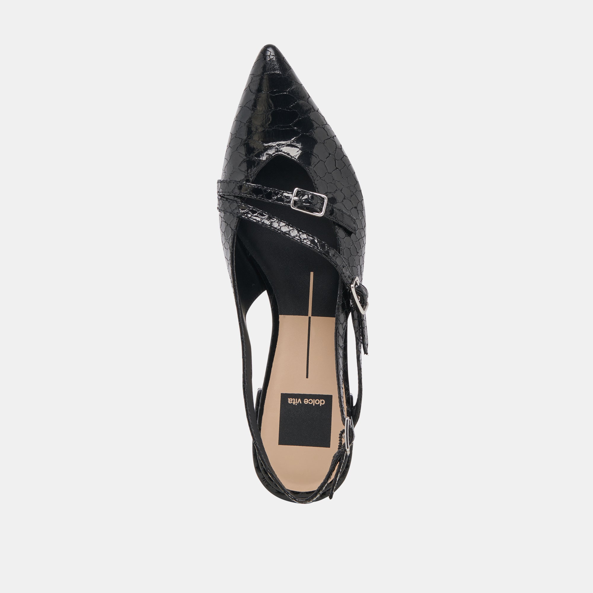 PAMLA MIDNIGHT SNAKE