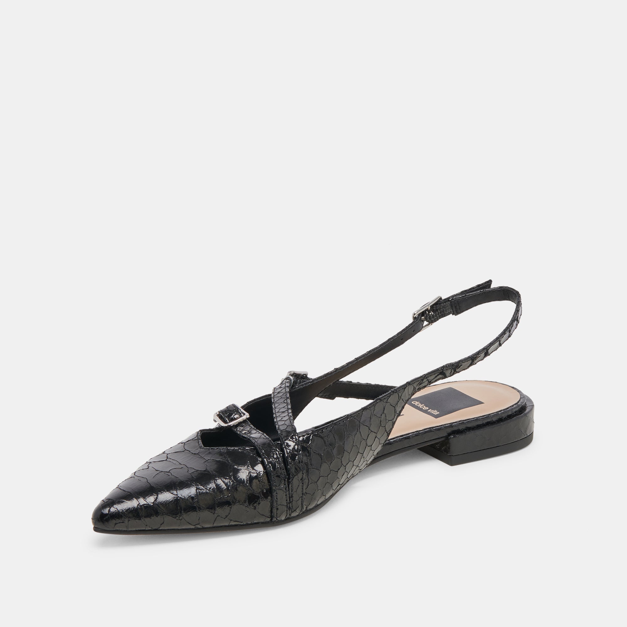 PAMLA MIDNIGHT SNAKE