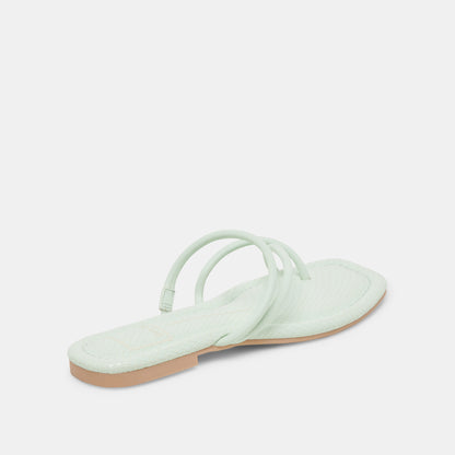 LEANNA CUCUMBER STELLA